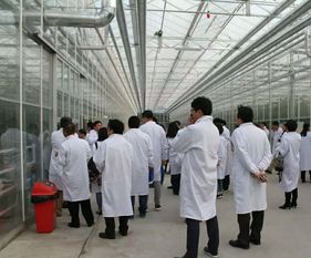 永通科技亮相京津冀，共探蔬菜工廠化生產(chǎn)新路徑